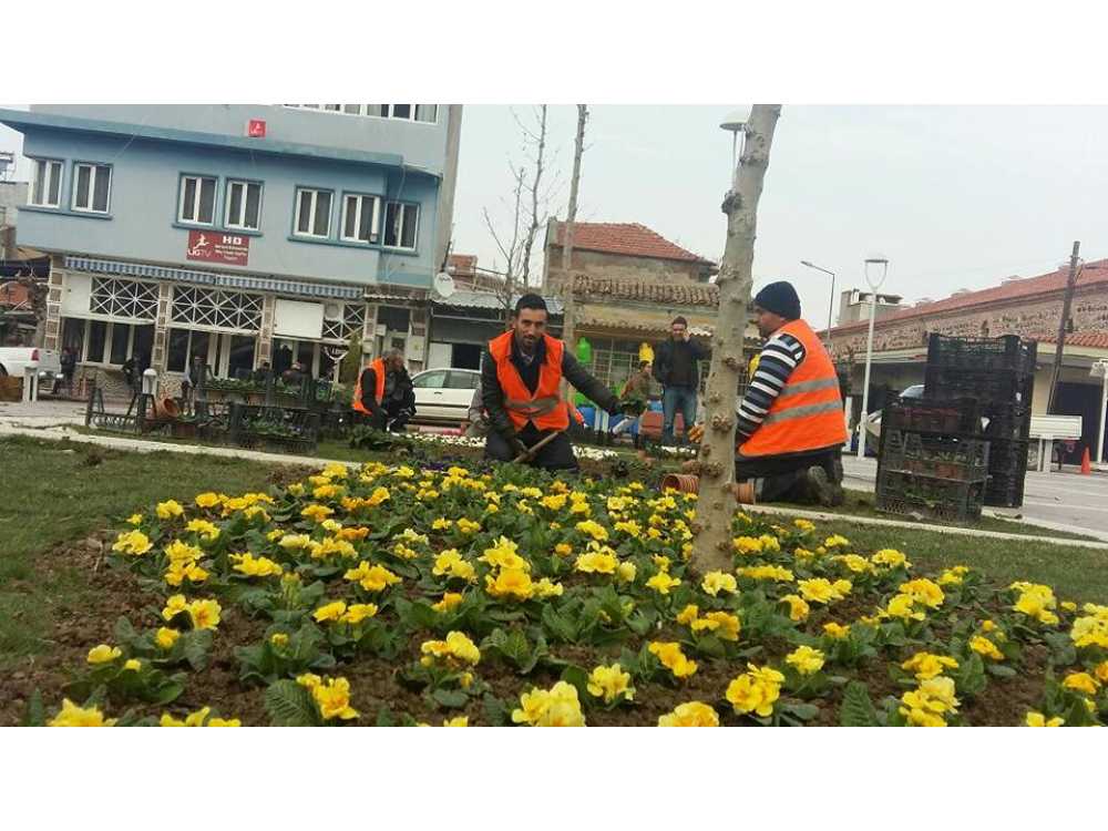 Haber Resmi